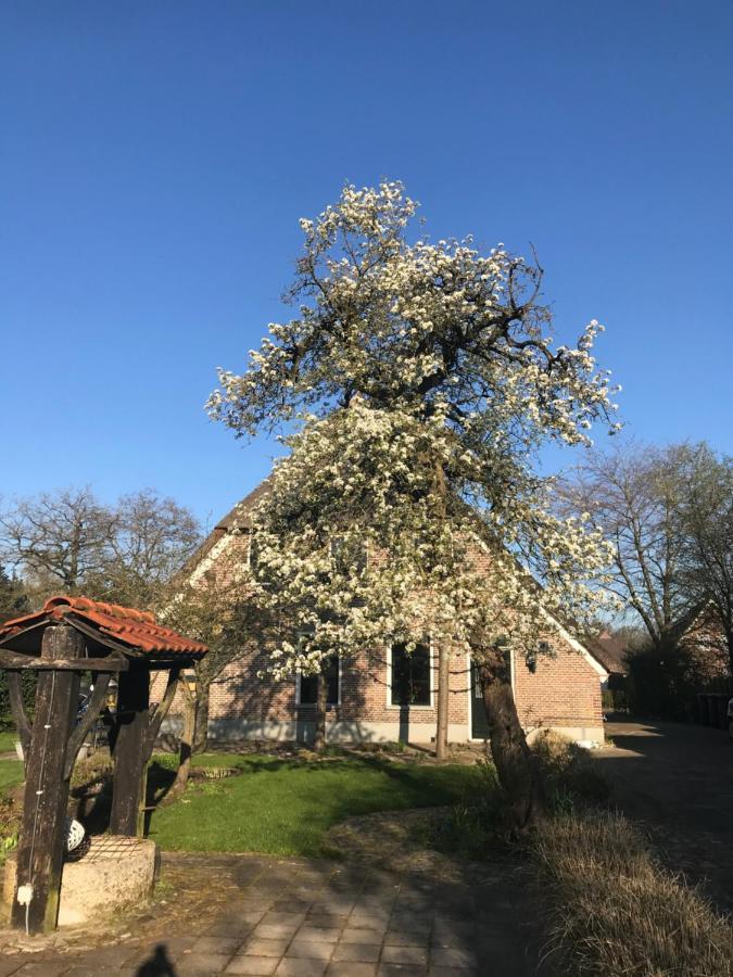 Appartement "In De Wolken" In Gees 外观 照片