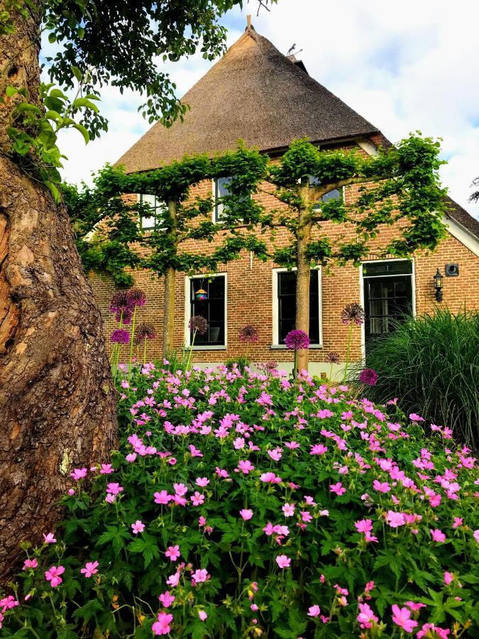 Appartement "In De Wolken" In Gees 外观 照片